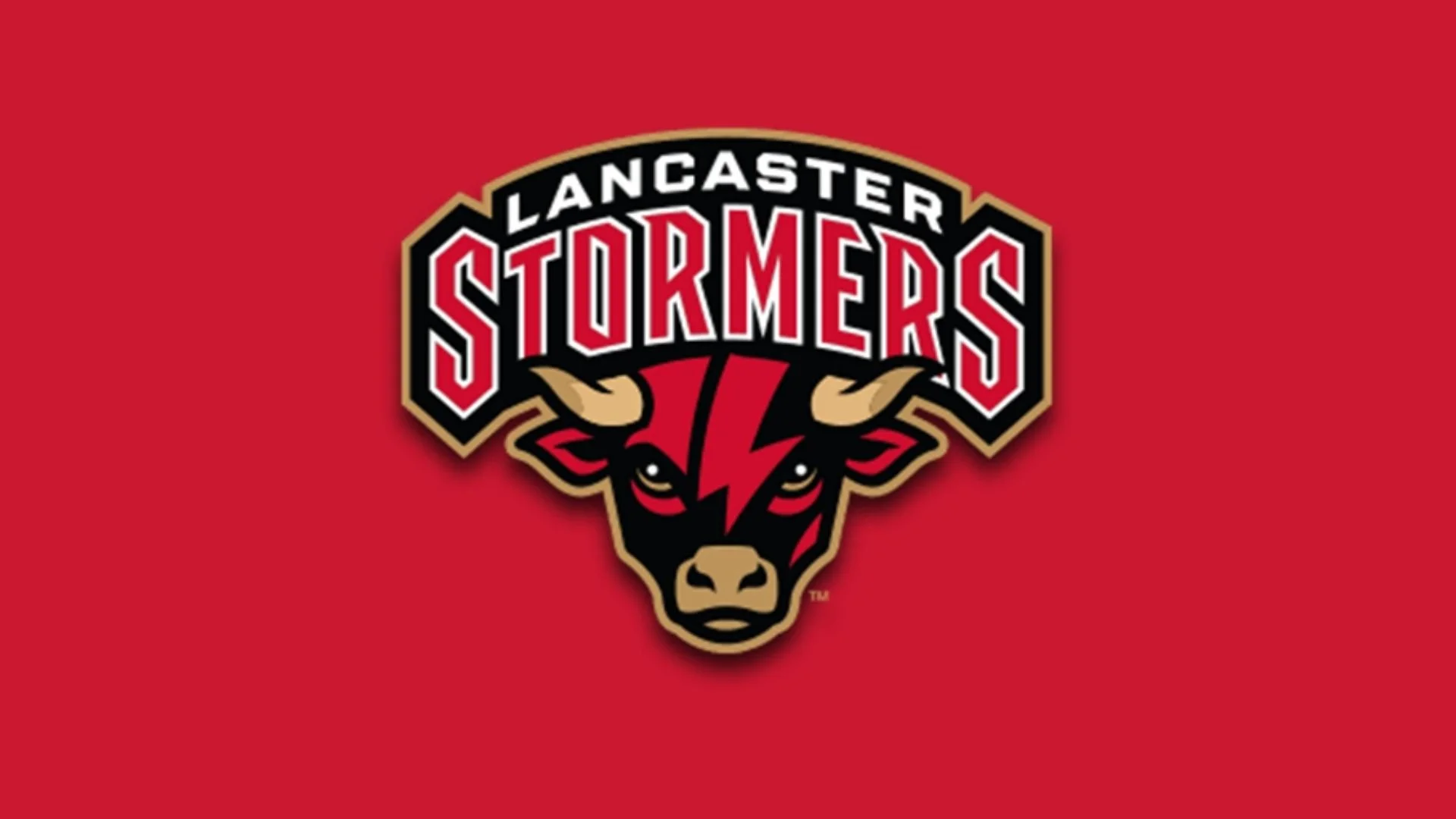 Fellowship Day at the Stormers