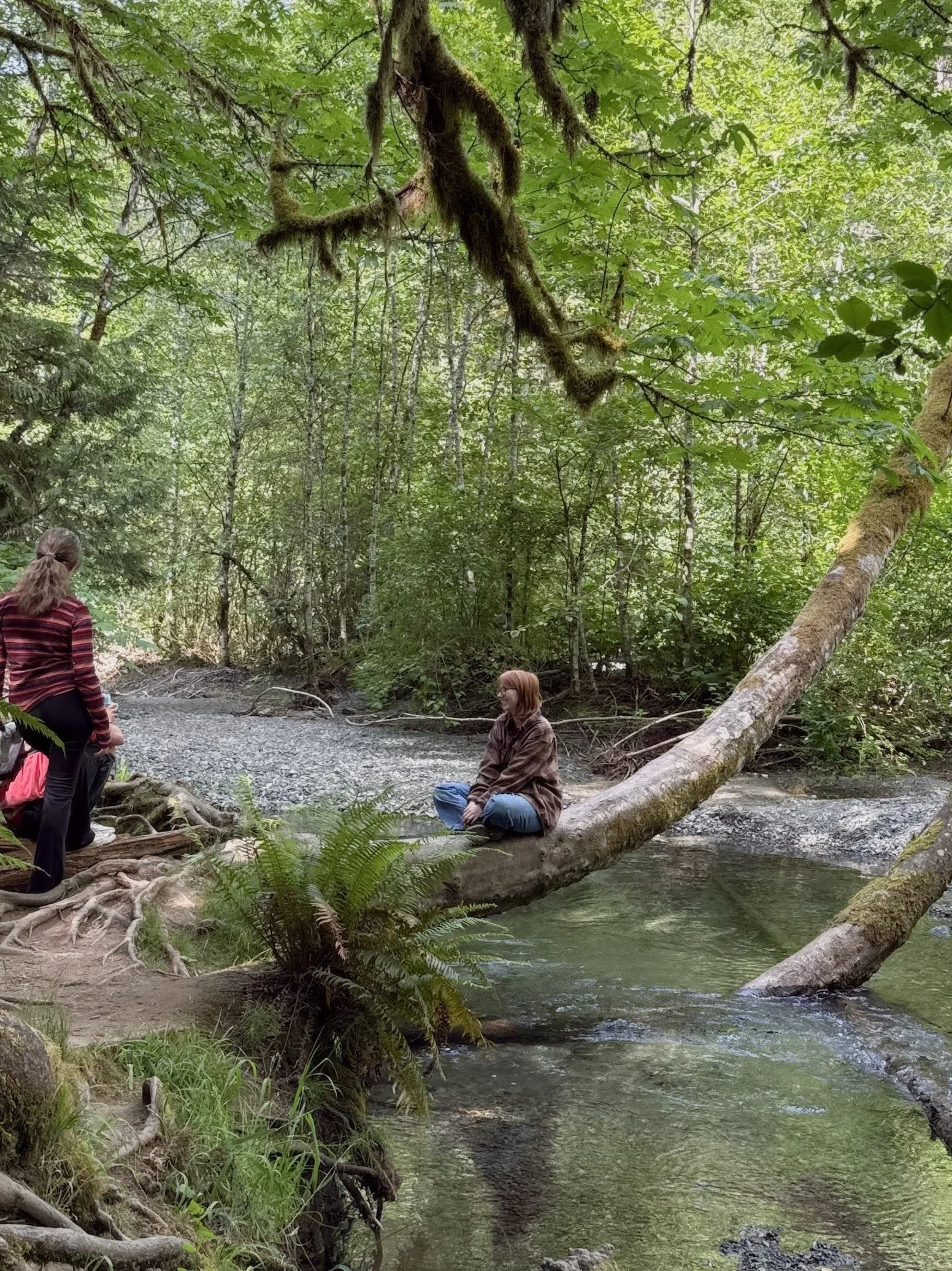 puli 2025-06-15 160743.199.jpg