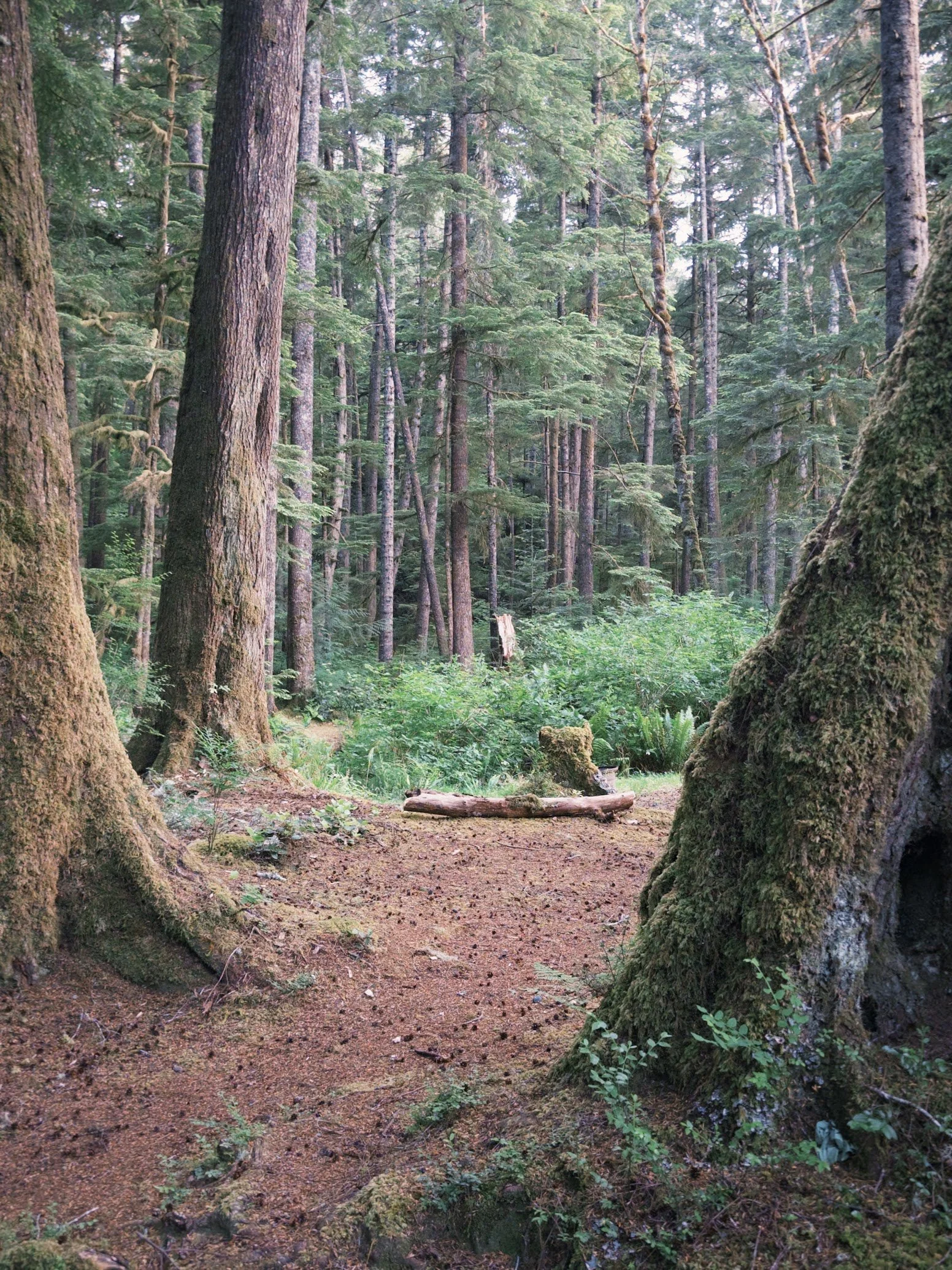 fxn 2025-06-20 201233.218.jpg