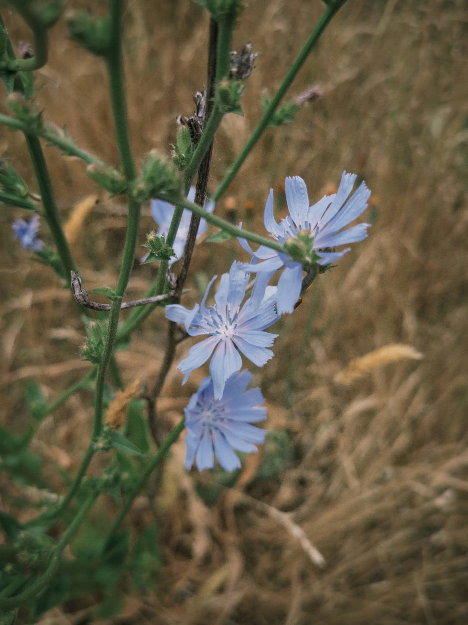 fxn 2025-06-17 112019.888.jpg