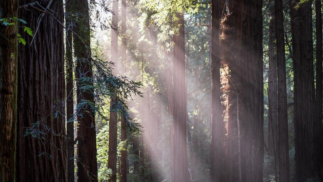 The Gift of Grounding