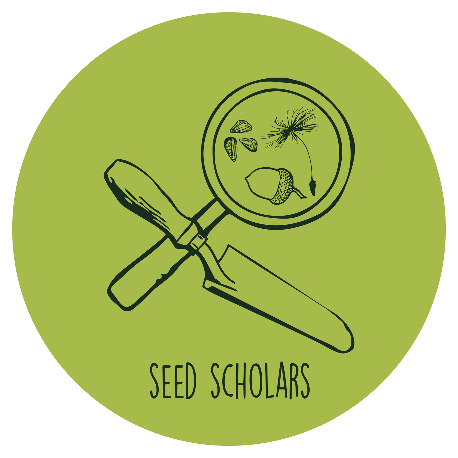 Seed Scholars