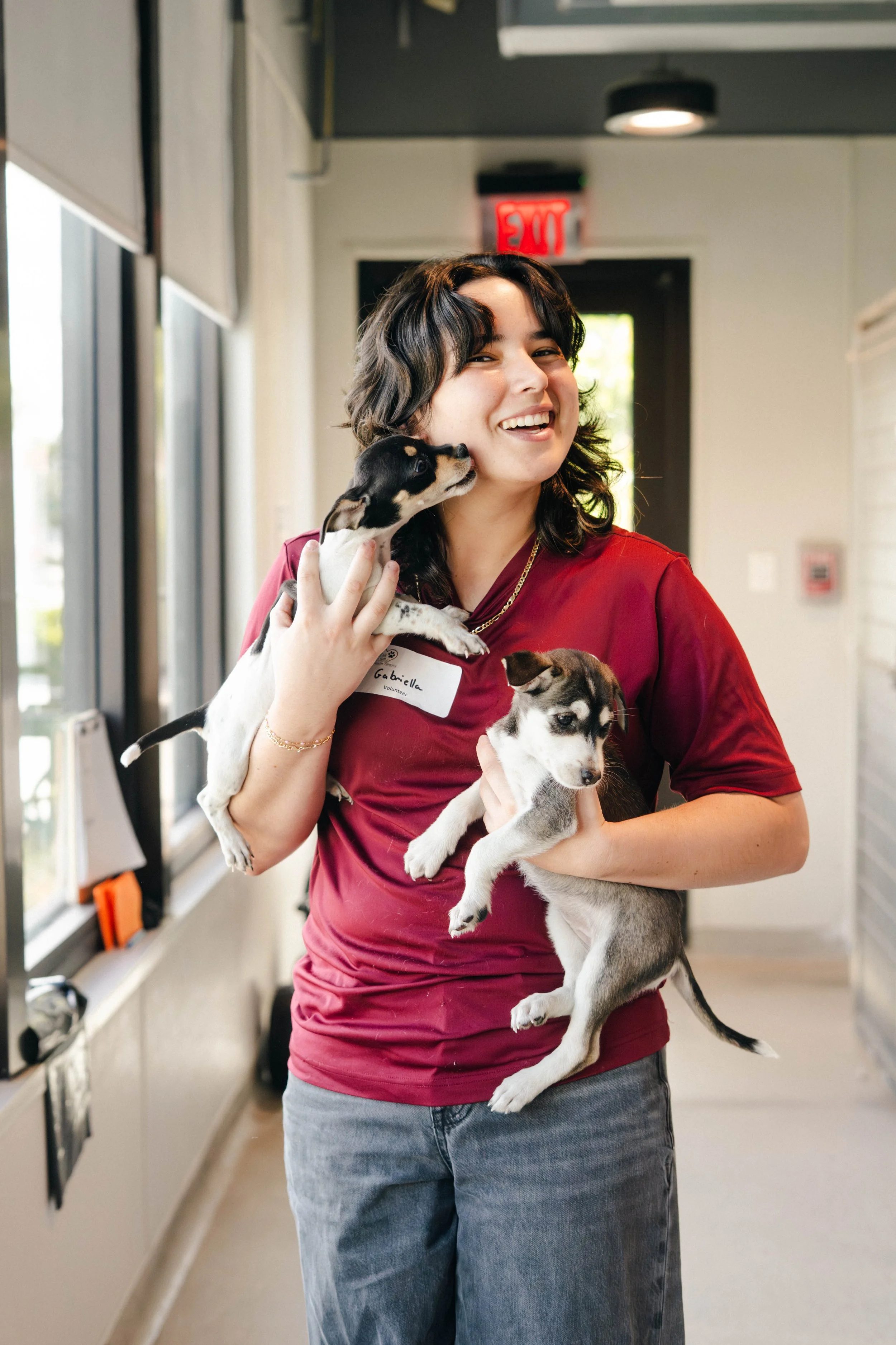 humane-society-tampa-31.jpg