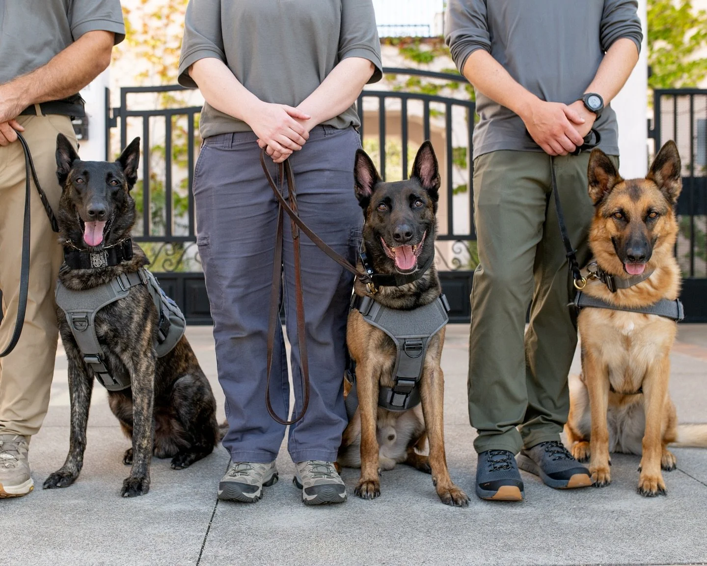 Wishing everyone a safe and happy school year! Thank you to all the hardworking dogs and people who support safer schools and communities nationwide. We are honored to be part of this critical mission and admirable community of proactive protectors! 