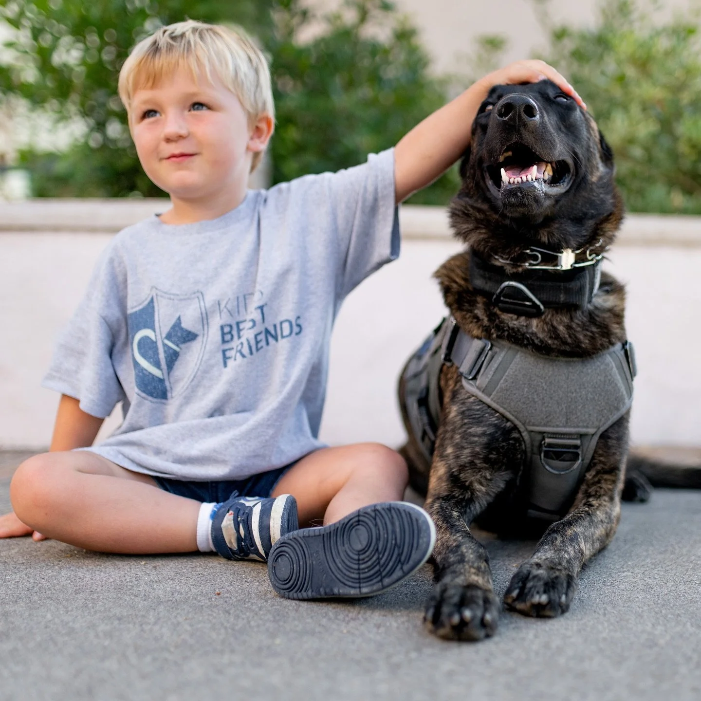 Happy National Dog Day from our best friends to yours!!! 🫶🐾 Safer schools with working dogs! #kidsbestfriends #schoolsafetydogs #nationaldogday #proactiveprotectioninschools #K9sinschools #workingdogs #dualpurposek9