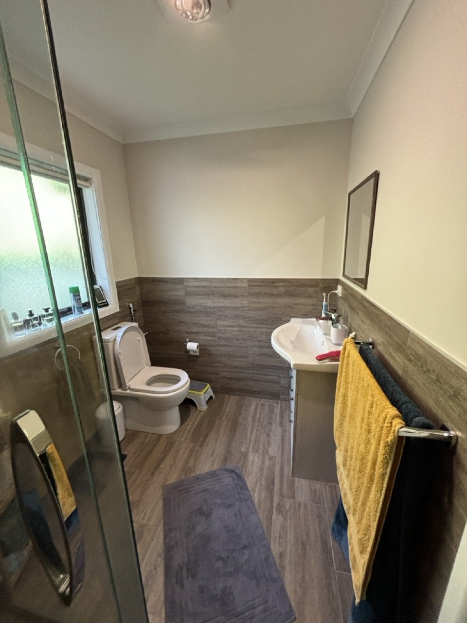 Taradale bathroom reno before.jpeg