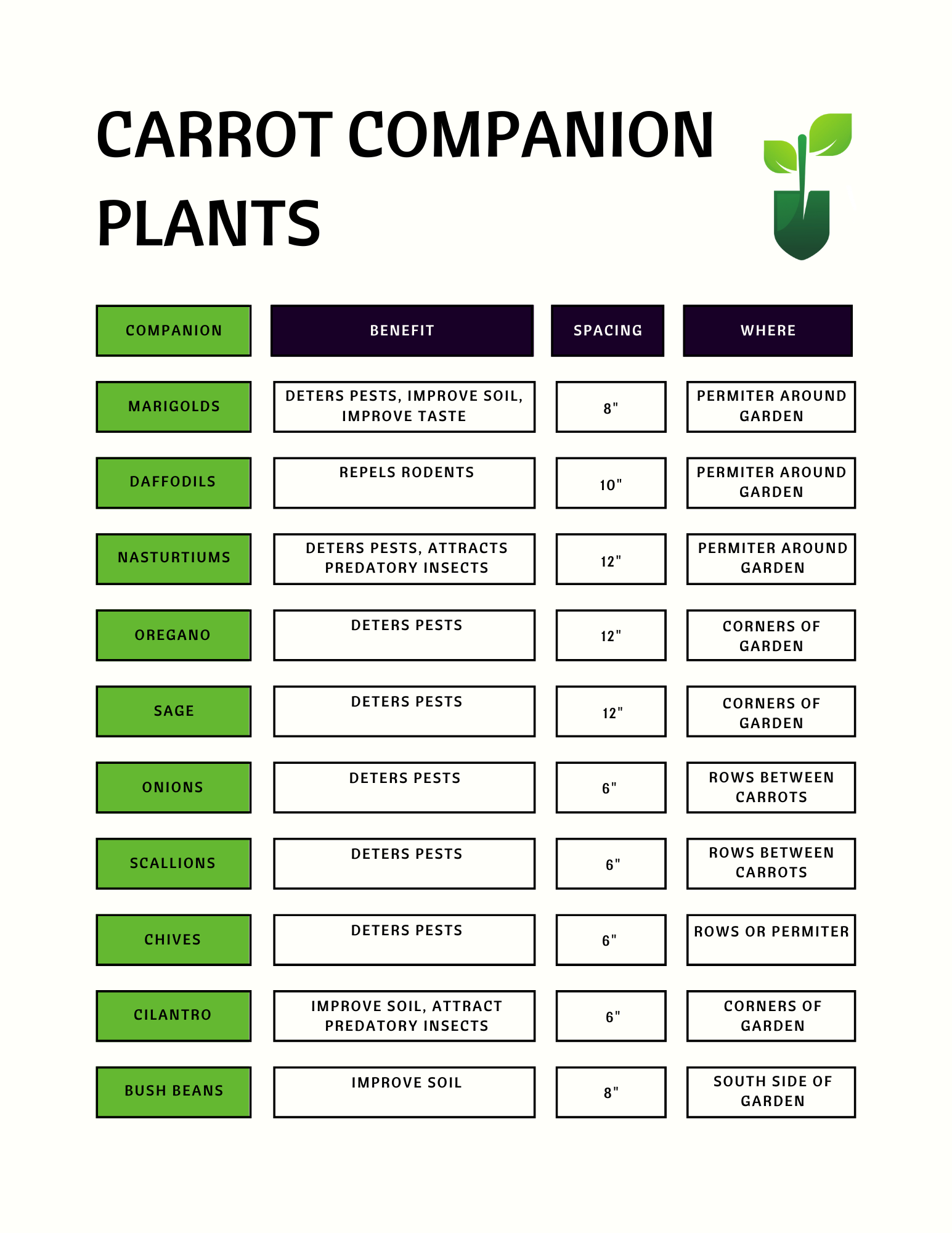 21 Carrot Companion Plants [Deter Pests, Improve Soil, Maximize Space