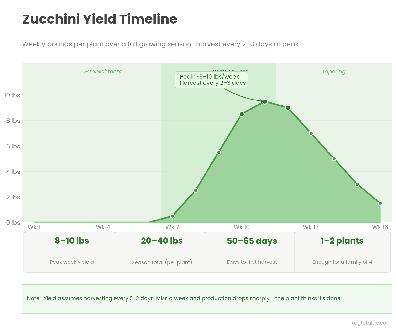 zucchini-yield-timeline