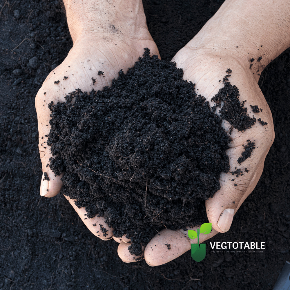 Soil for Onions — Vegtotable