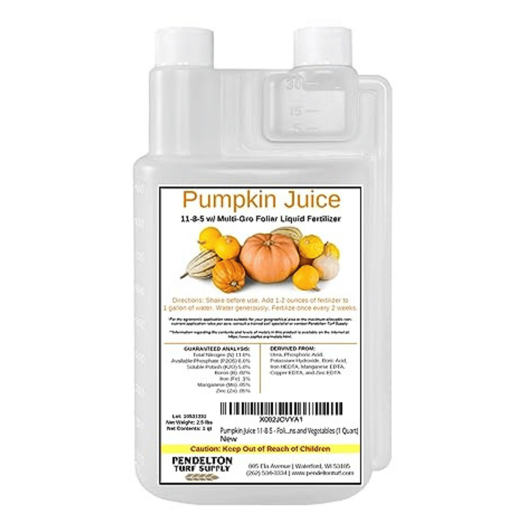 Best Fertilizer for Pumpkins That Actually Work