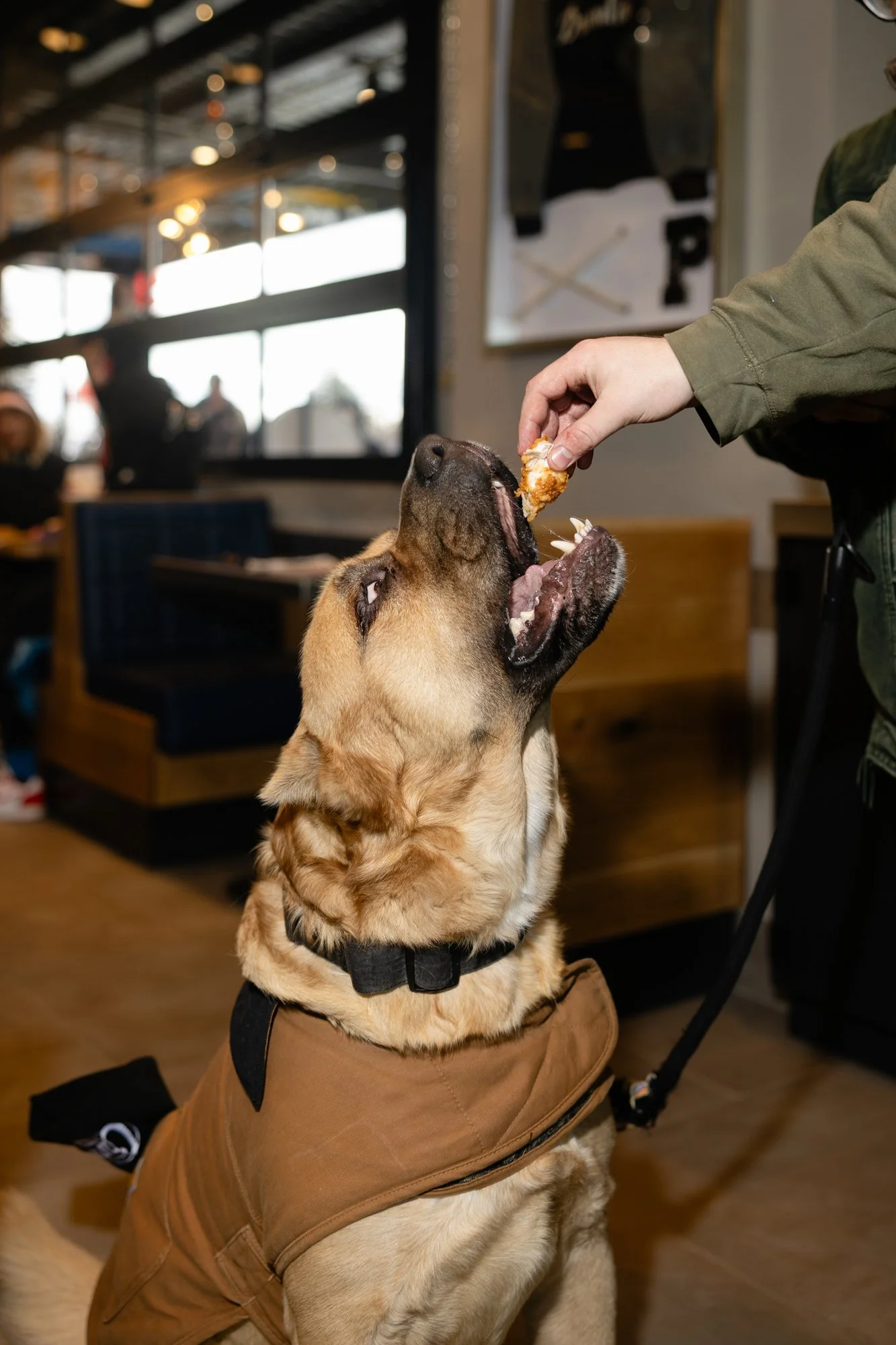 Raising Cane's Canton Michigan Event Photography_P5A0110_11.jpg