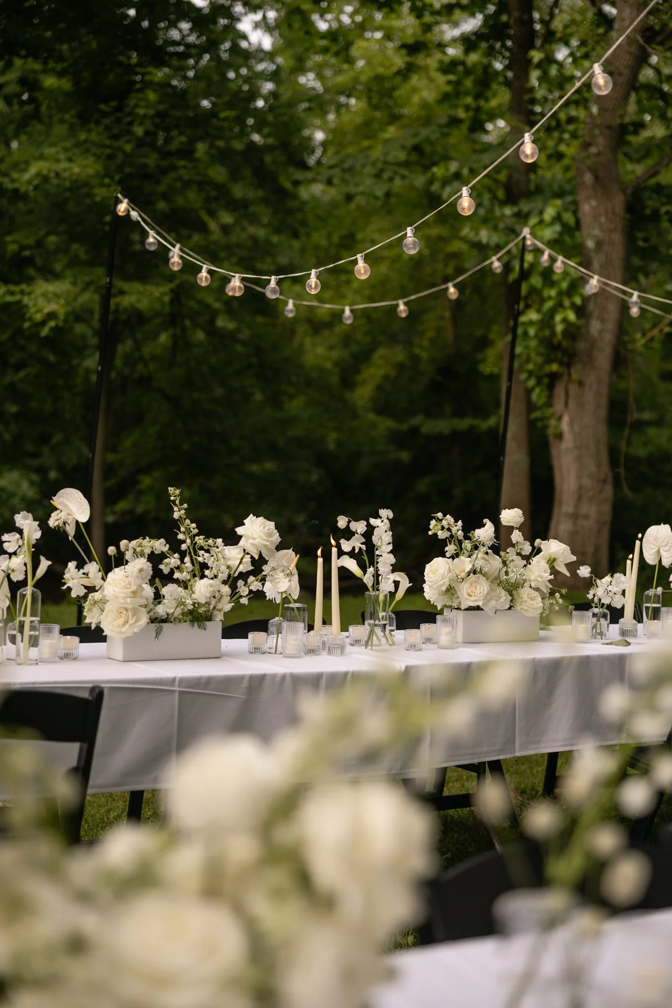 shelby sacco spinek wedding photography_4341.jpg