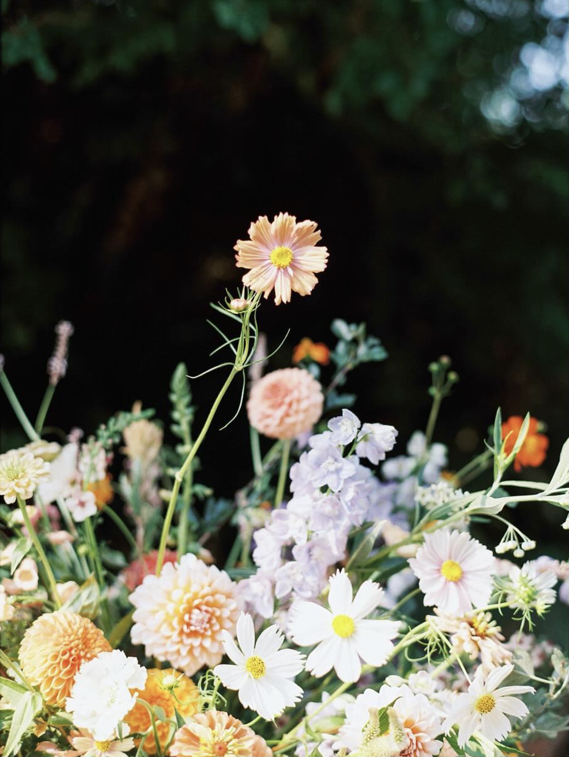 Screen Shot 2025-01-17 at 11.13.12 AM.png