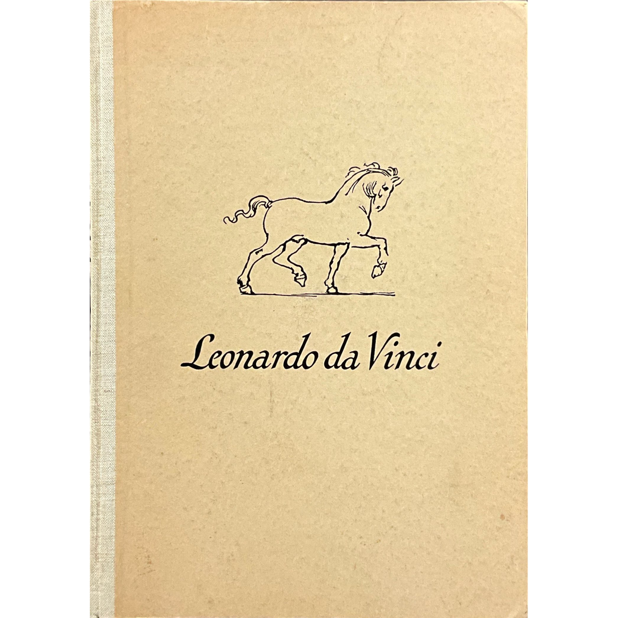 Leonardo Da Vinci - Drawings