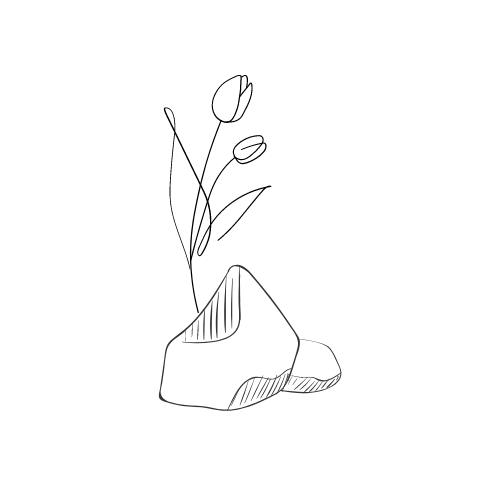 Katherine Blumstein Ph.D.