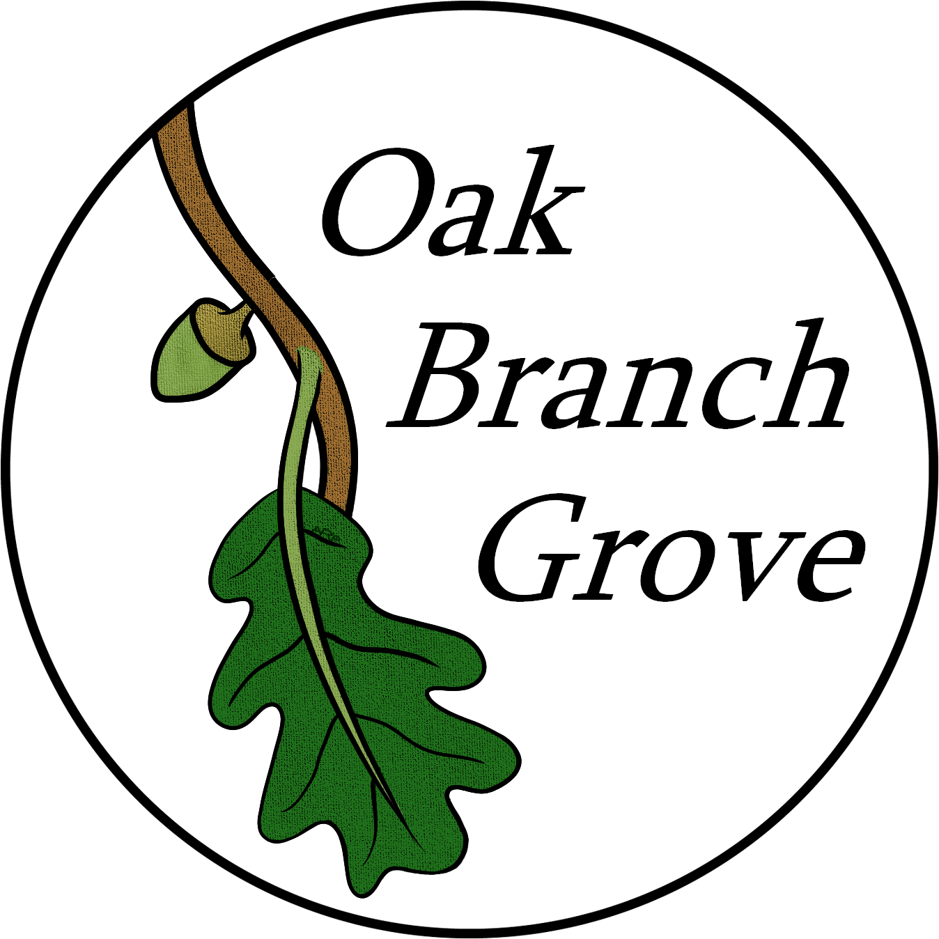 Oak Branch Grove logo, a white circle with a cartoon oak branch with one acorn and one leaf hanging down on the left side