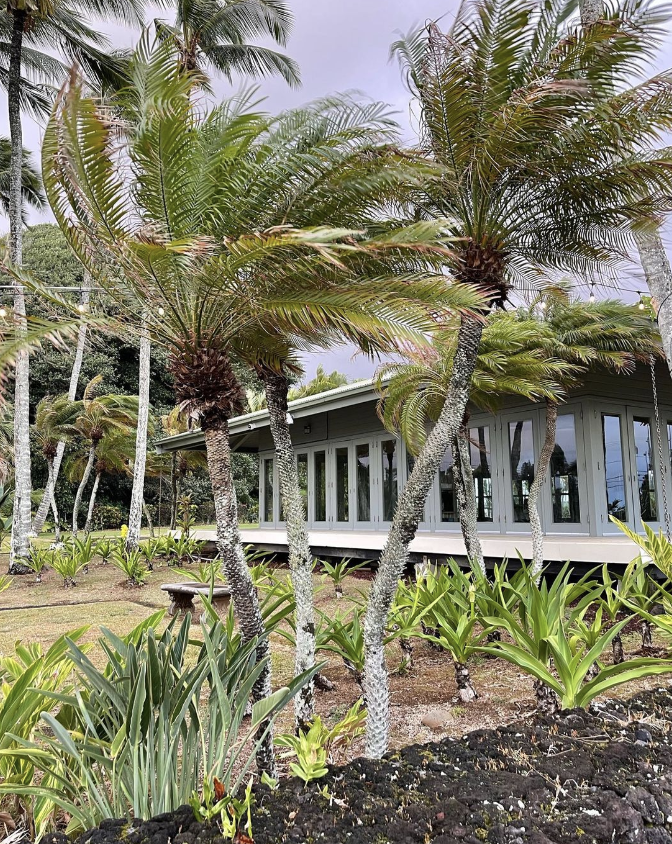 Screen Shot 2023-04-05 at 11.32.46 PM.png