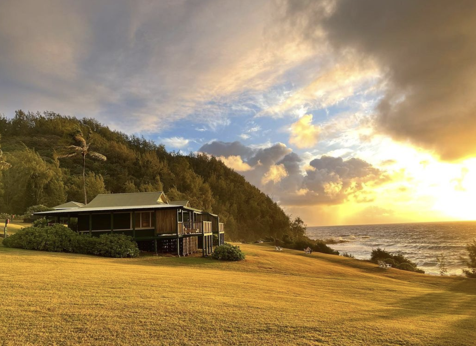 Screen Shot 2023-04-05 at 11.34.14 PM.png