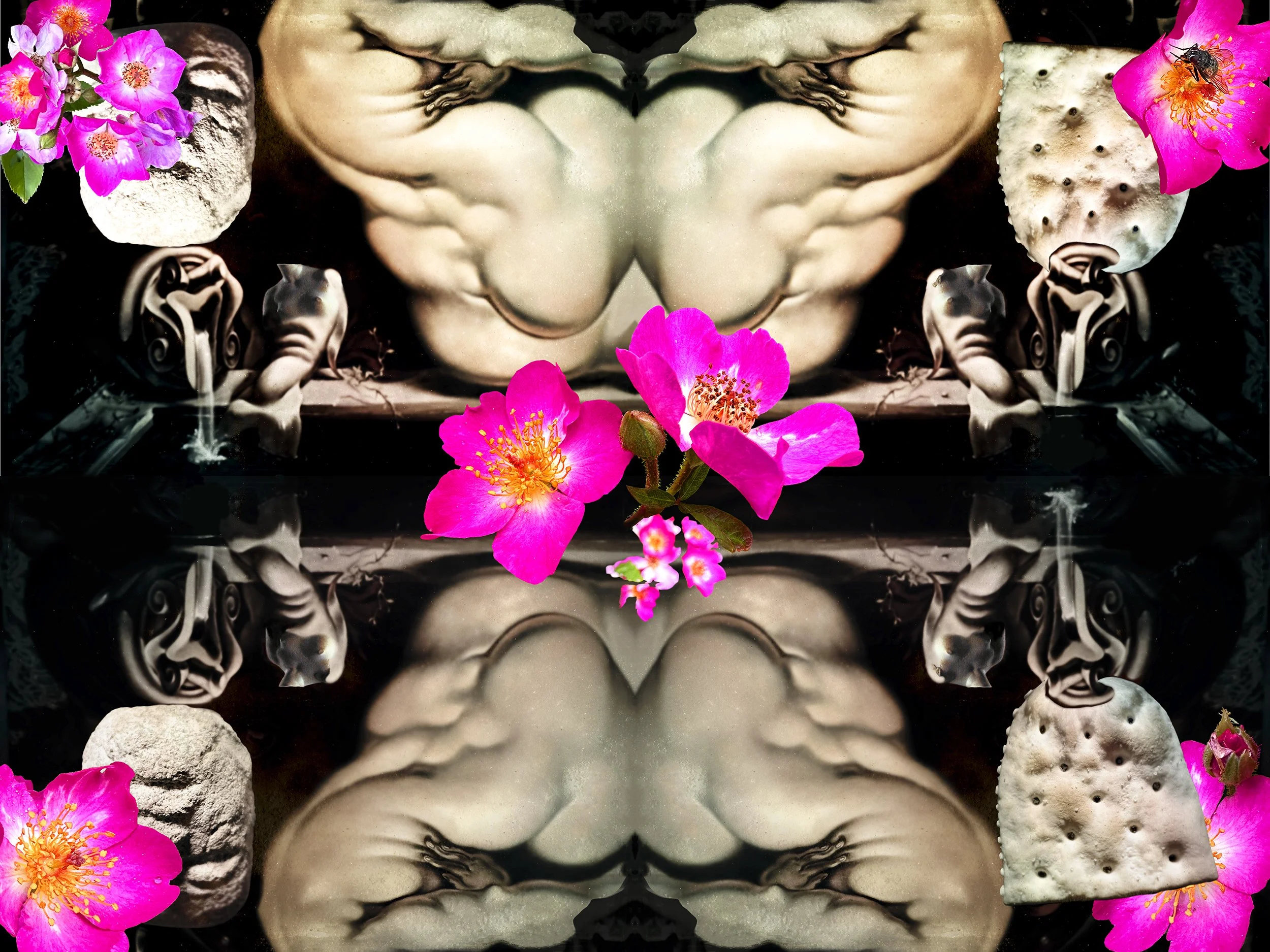 Rubensian Dark Garden_Reflecting Pool.jpg