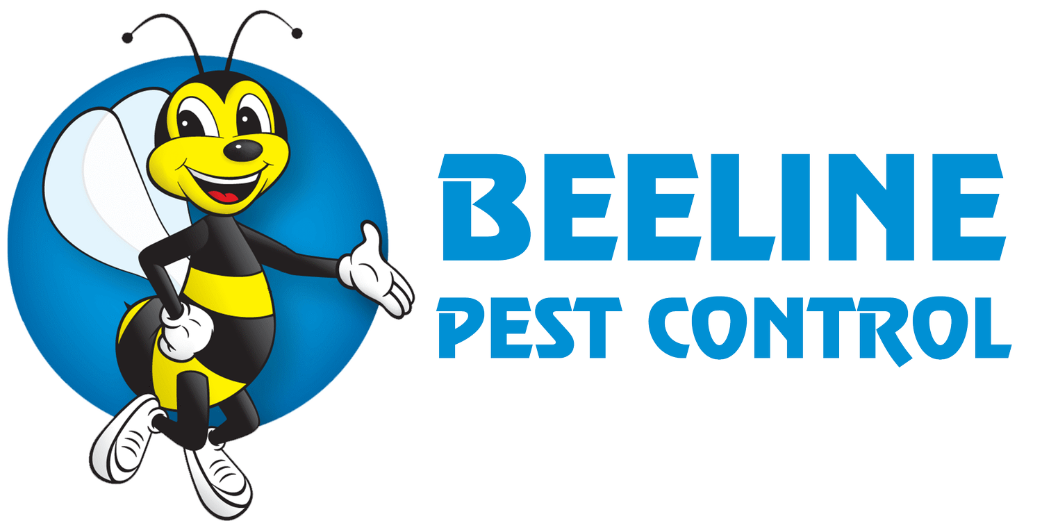 Beeline Pest Control