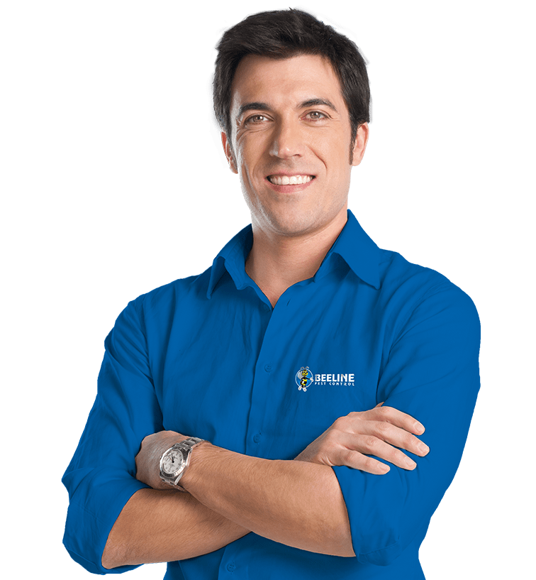 Beeline Pest Control