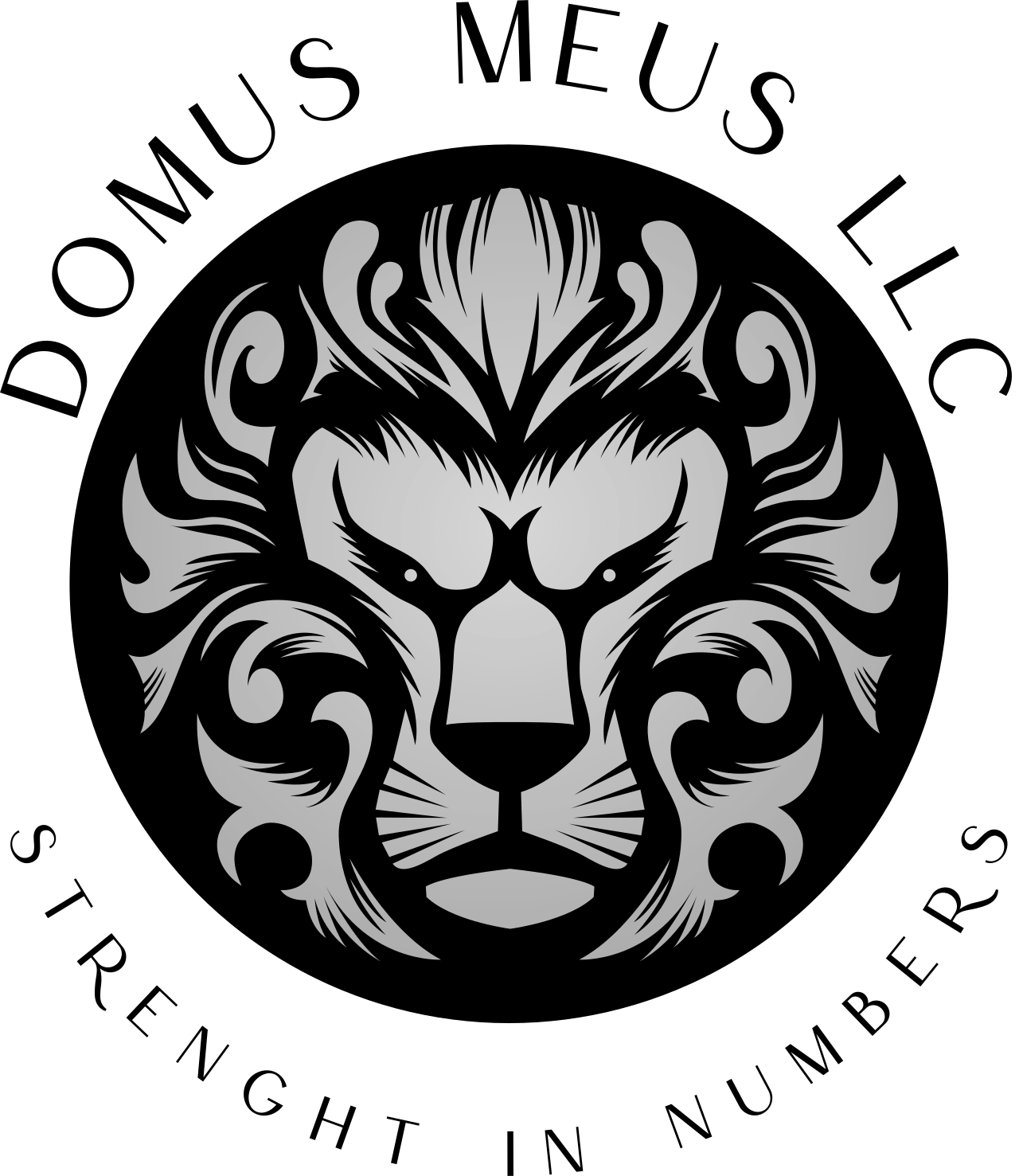 DOMUS MEUS LLC