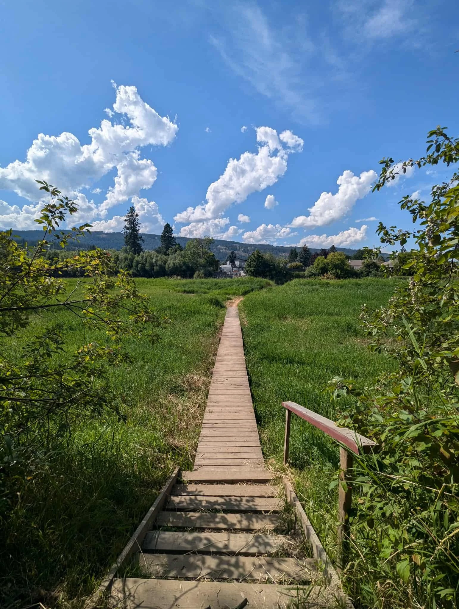  Explore the trails and natural beauty surrounding the campground. 