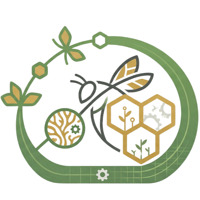 Geometric drawing of an outline square with sections divided by vertical, horizontal, and diagonal lines.