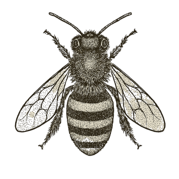 Geometric drawing of an outline square with sections divided by vertical, horizontal, and circle lines.