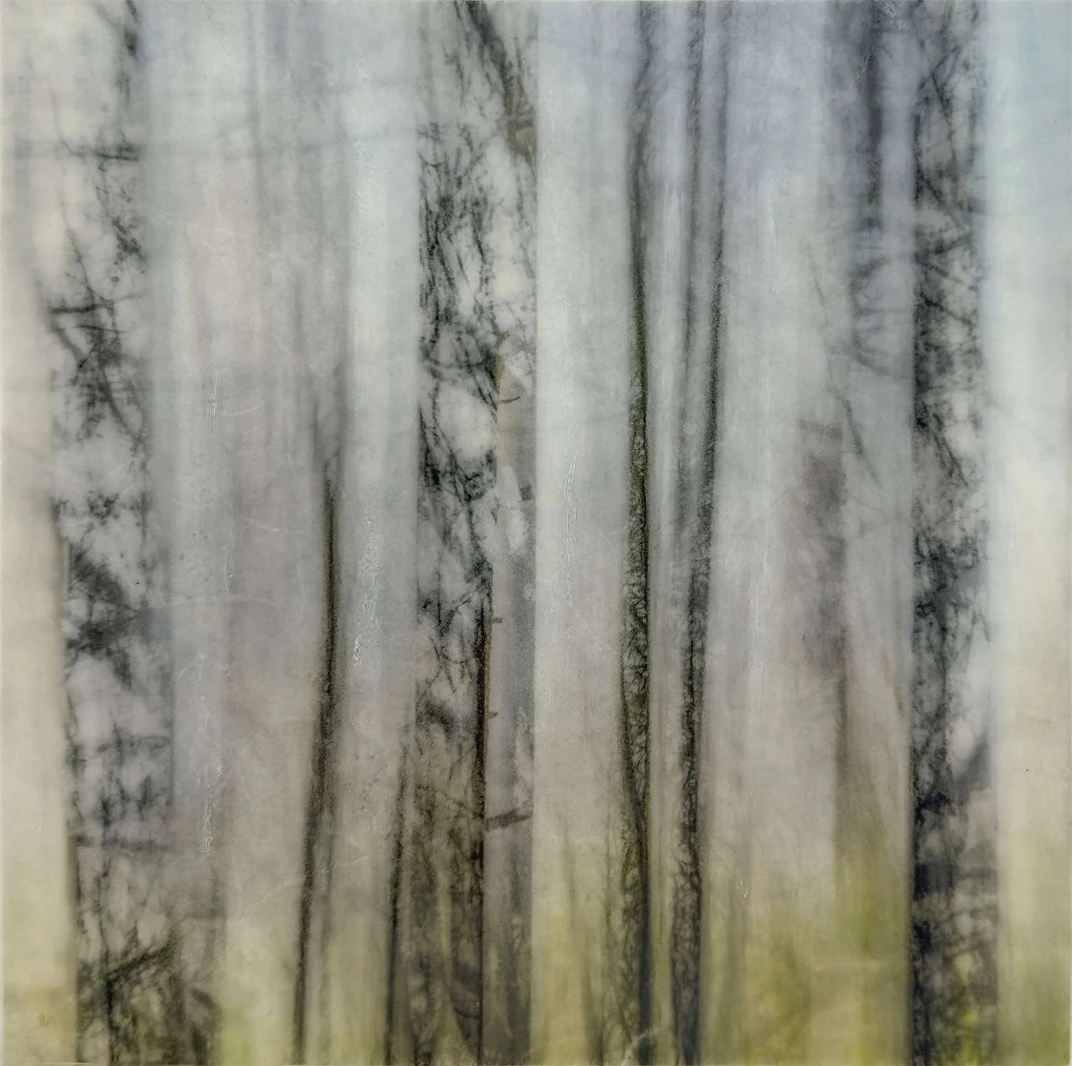 Dianne Poinski
“Summer Grove” 
Photo Encaustic 
6" x 6" 
$125