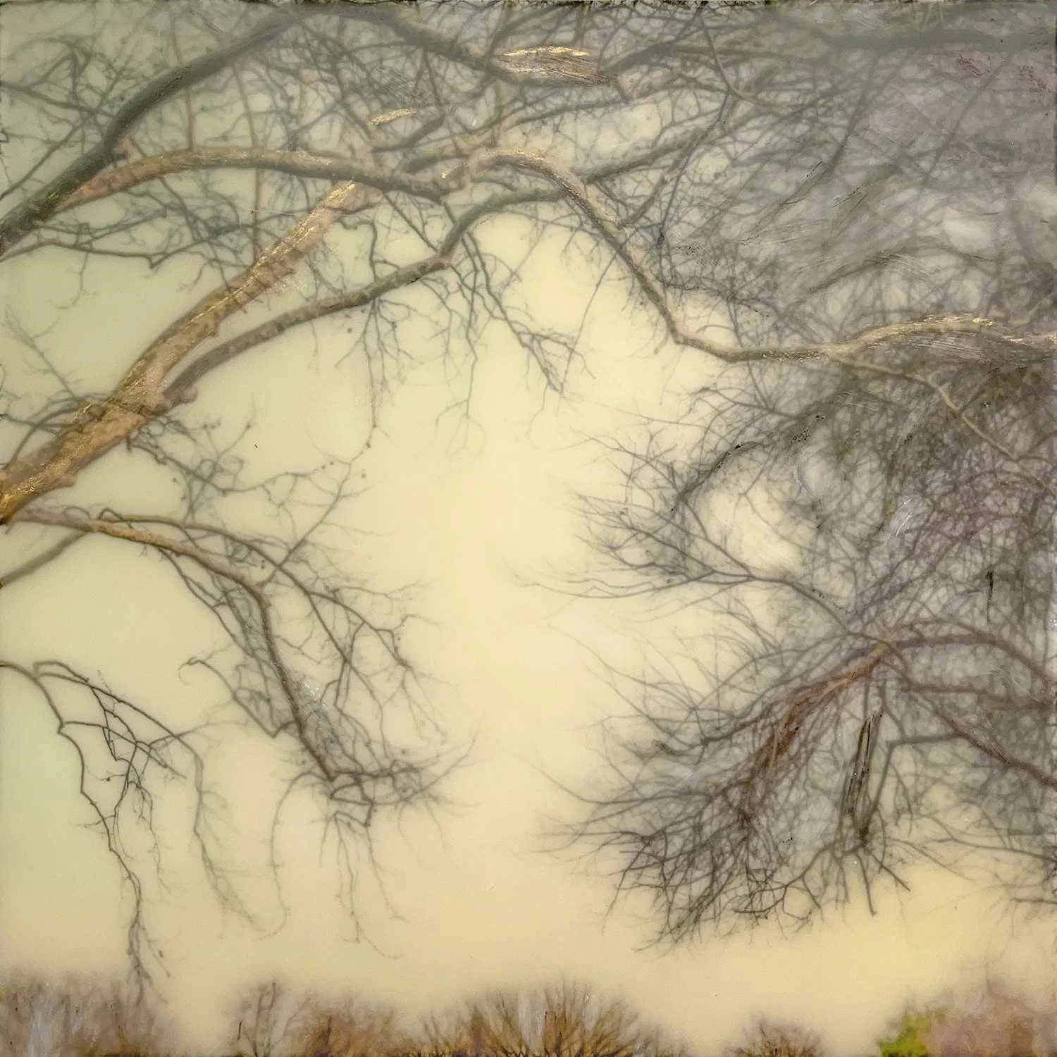 Dianne Poinski
“Seeking” 
Photo Encaustic 
6" x 6" 
$125