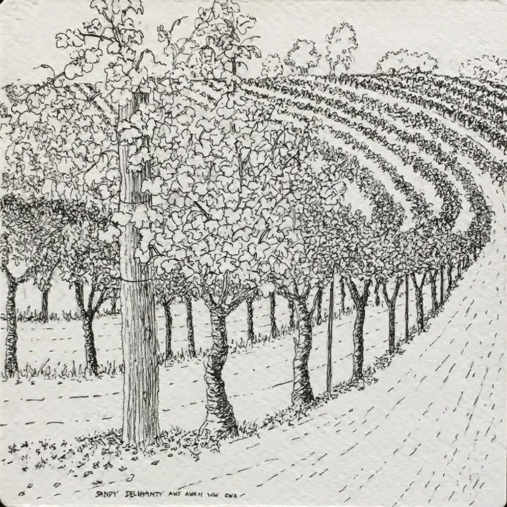 Sandy Delehanty
"Wine Country Memory"
Watercolor 
7” x 7”
$300.00