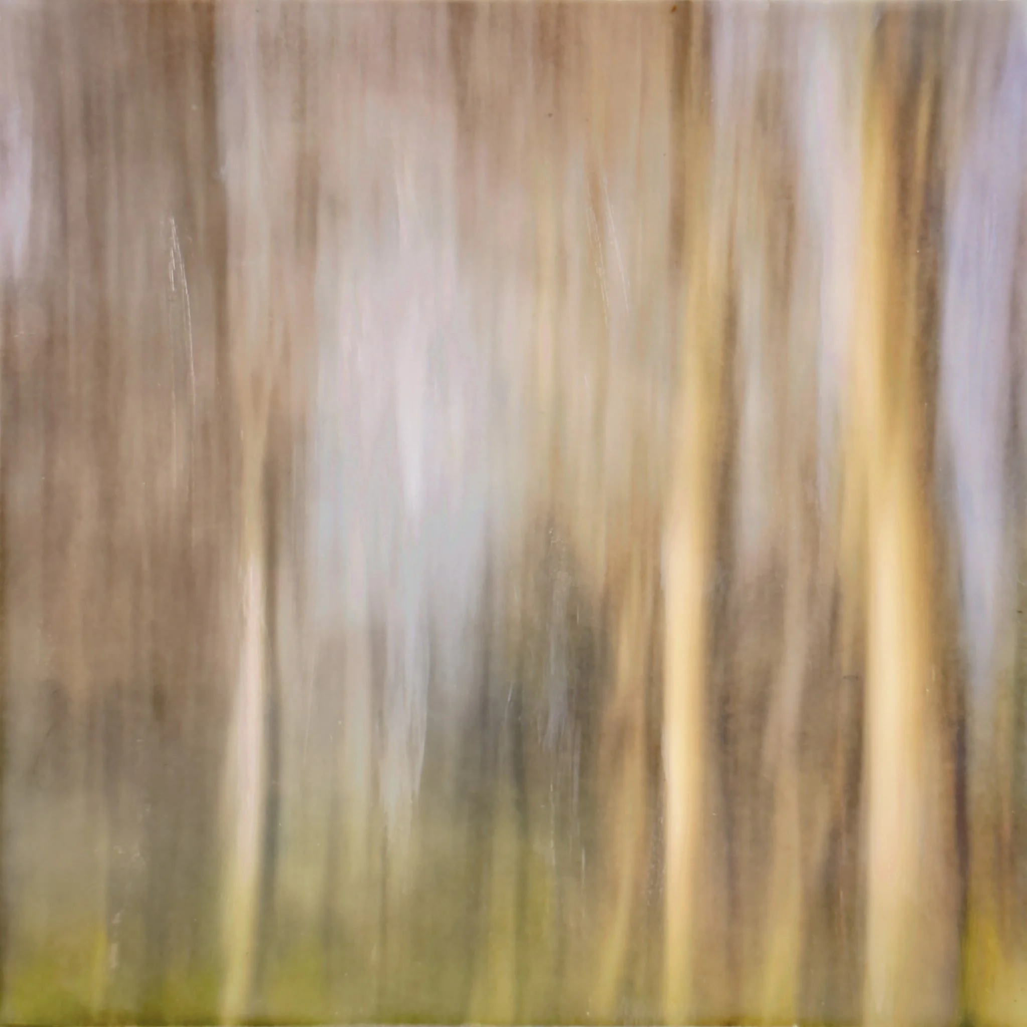 Dianne Poinski
“A Quiet Forest” 
Photo Encaustic 
6" x 6" 
$125