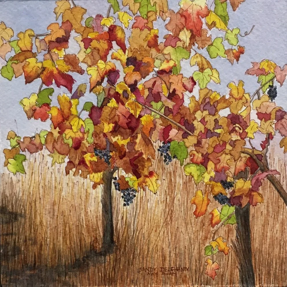 Sandy Delehanty
"Wine Country Autumn"
Watercolor 
7” x 7”
$300.00