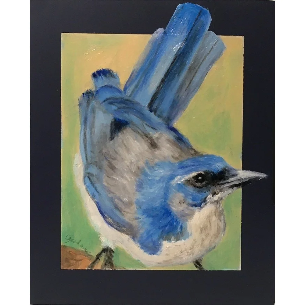 Mary Czechan Coldren
"Scrub Jay"
Oil on Cigar Box 
9” x 7.5”
$425.00