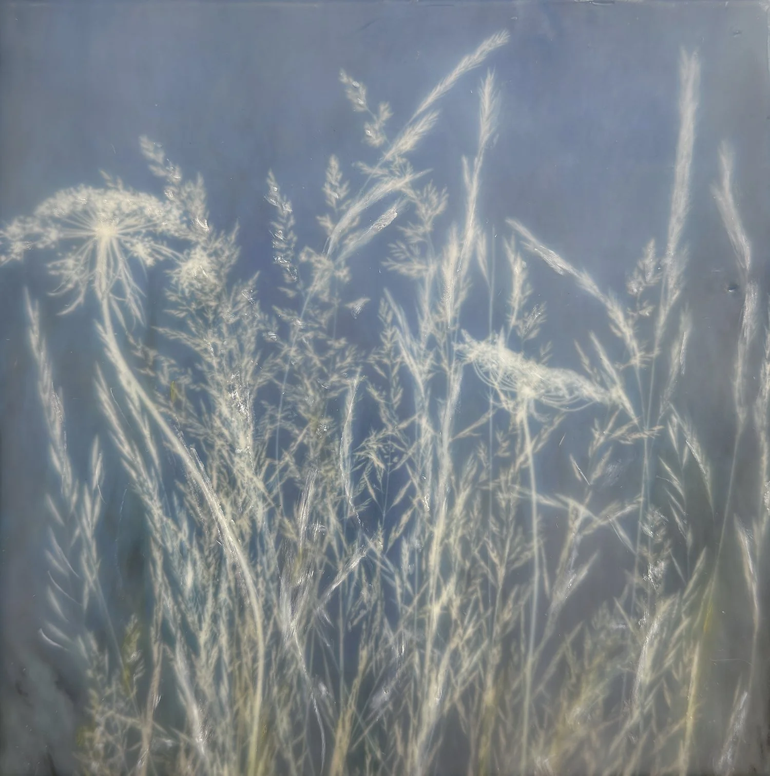 Dianne Poinski
“Plentiful” 
Photo Encaustic 
5" x 5" 
$115