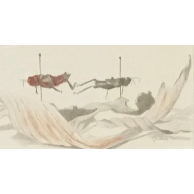 Mary Czechan Coldren
"Pinned Bugs"
Silverpoint on Paper 
3” x 6”
$600.00
