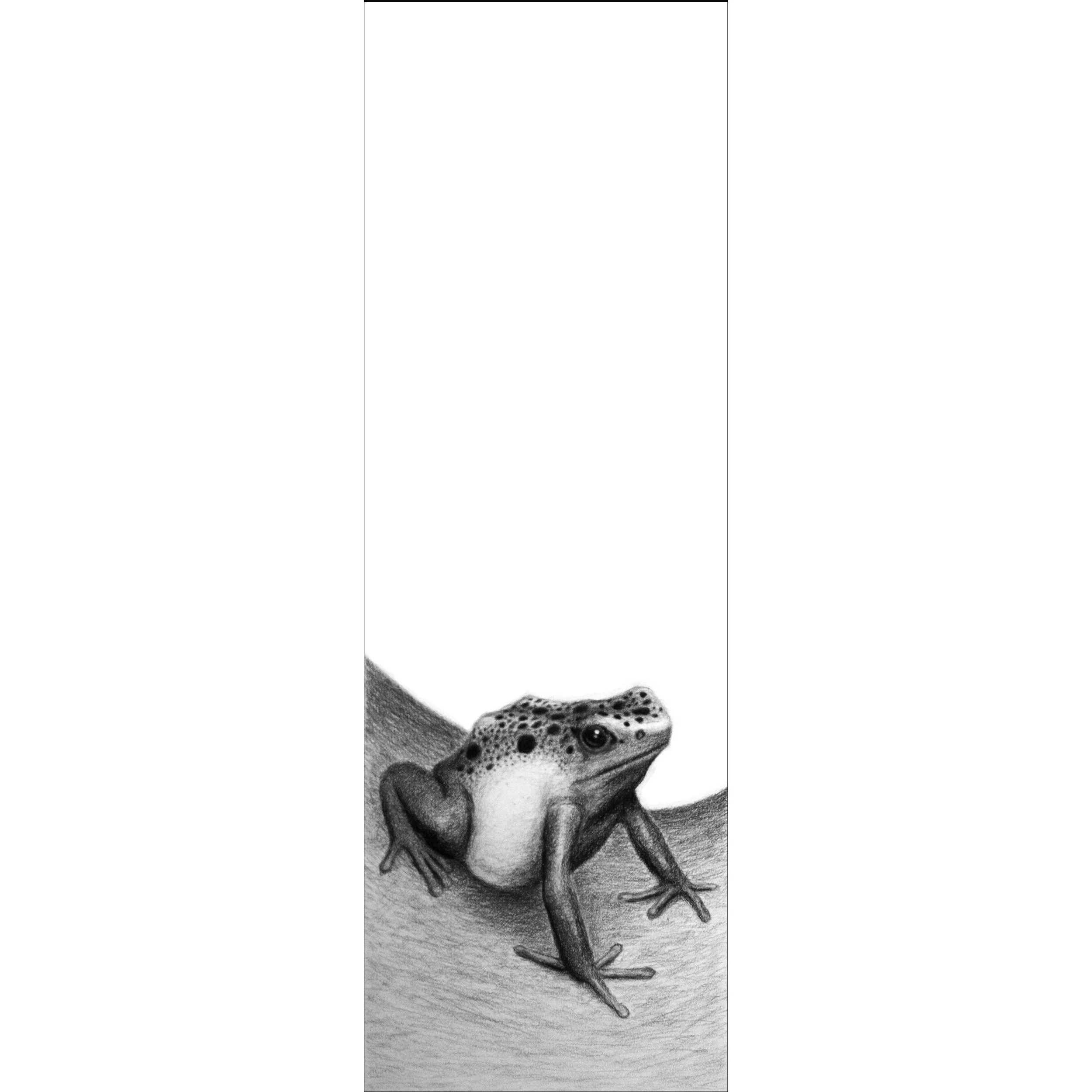 Sean Bonito
"Blue Poison Dart Frog"
Graphite on Paper 
15” x 5”
$525.00