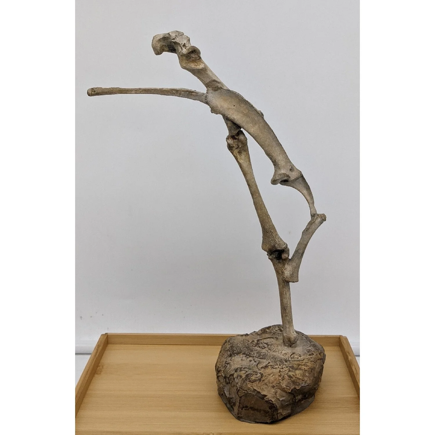 Pat Mahony
“Gaudium Magnus ‘Great Happiness’”
Bronze
10"x7"x 3"
$900