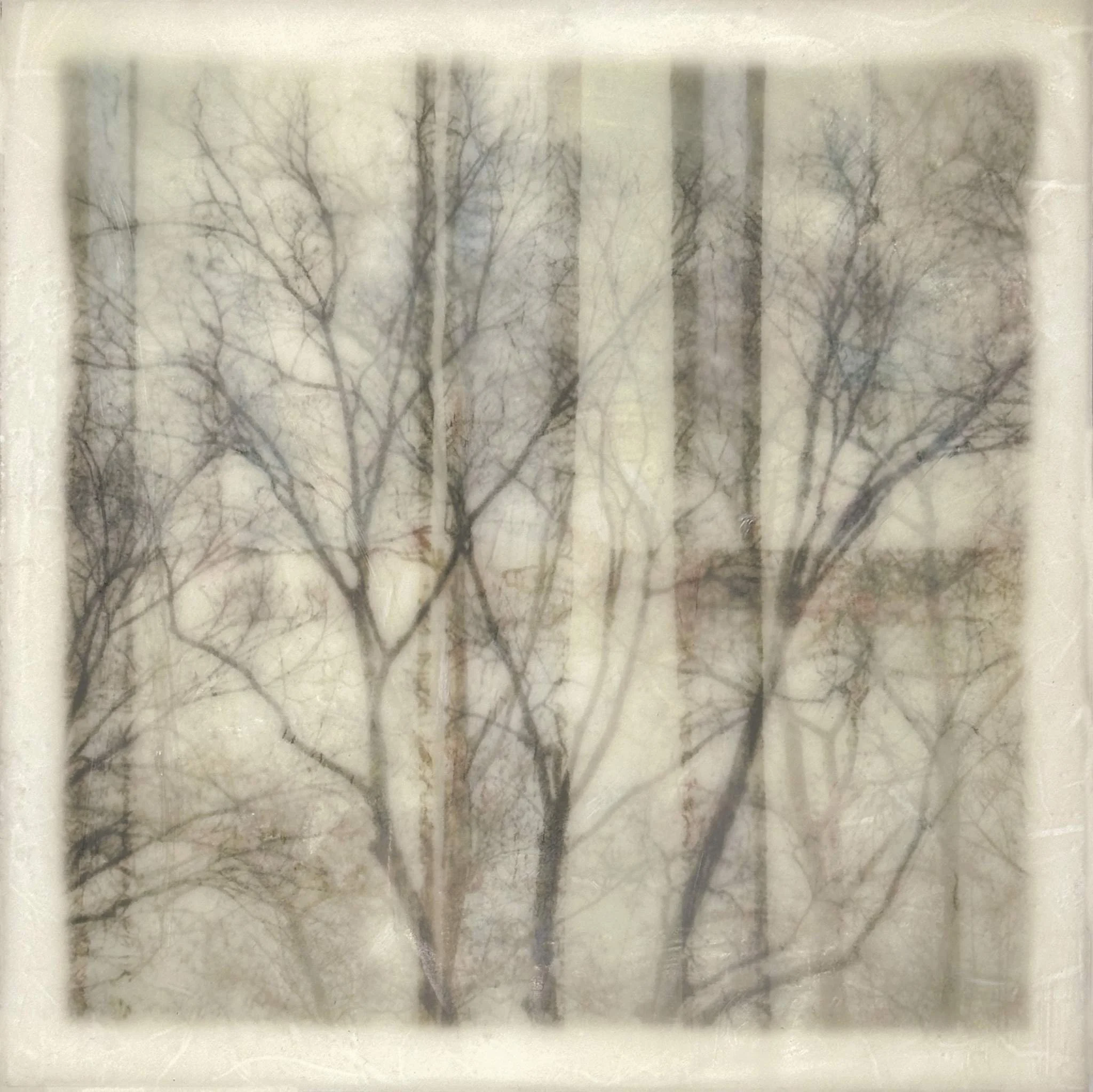 Dianne Poinski
“Tree Study I” 
Photo Encaustic 
6" x 6" 
$125