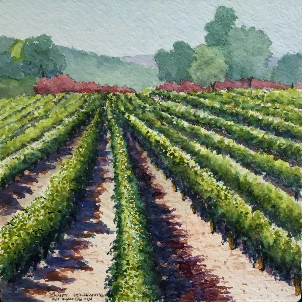 Sandy Delehanty
"Wine Country Summer"
Watercolor 
7” x 7”
$300.00