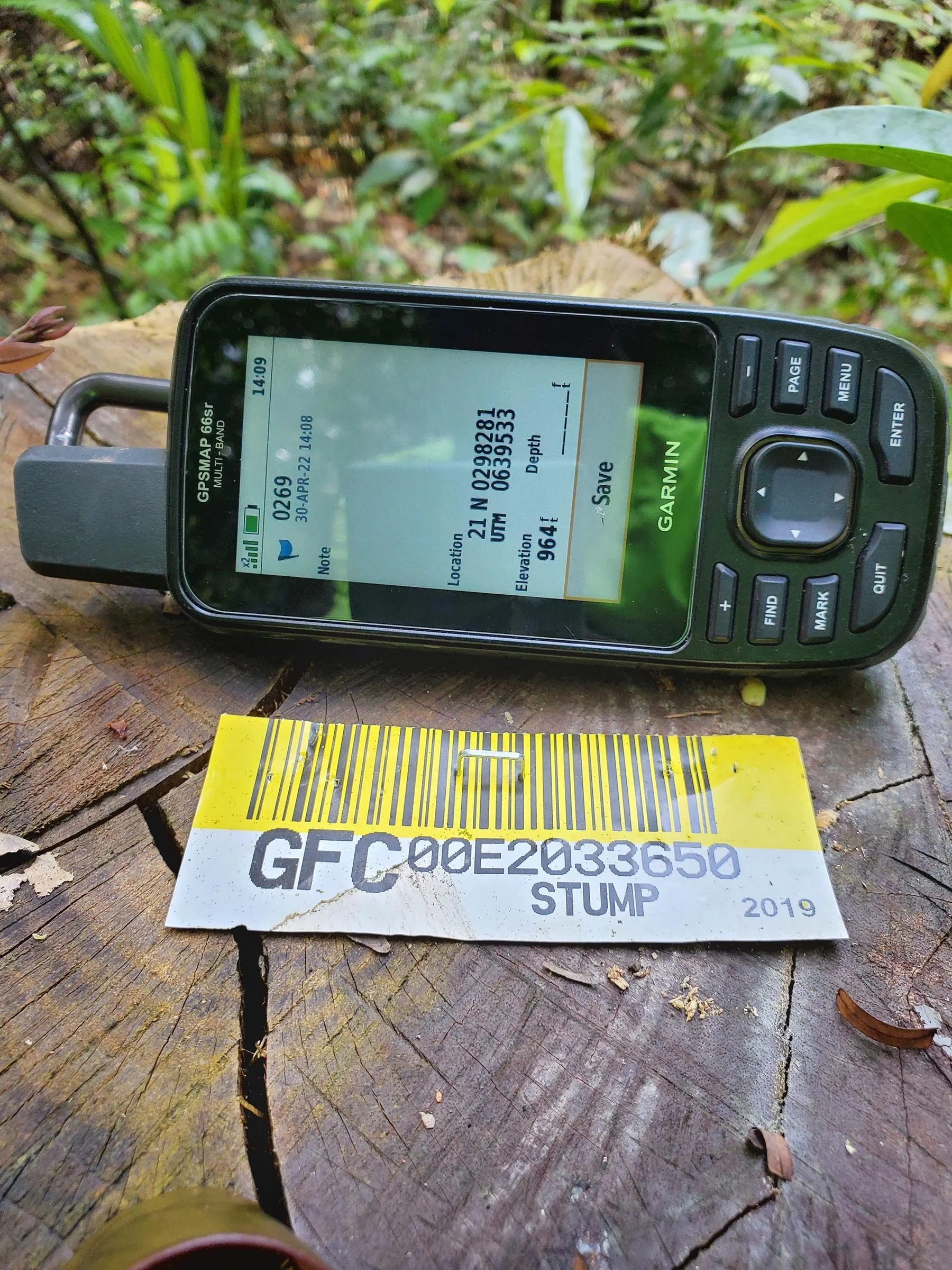 Sustainable Timber — STS Guyana