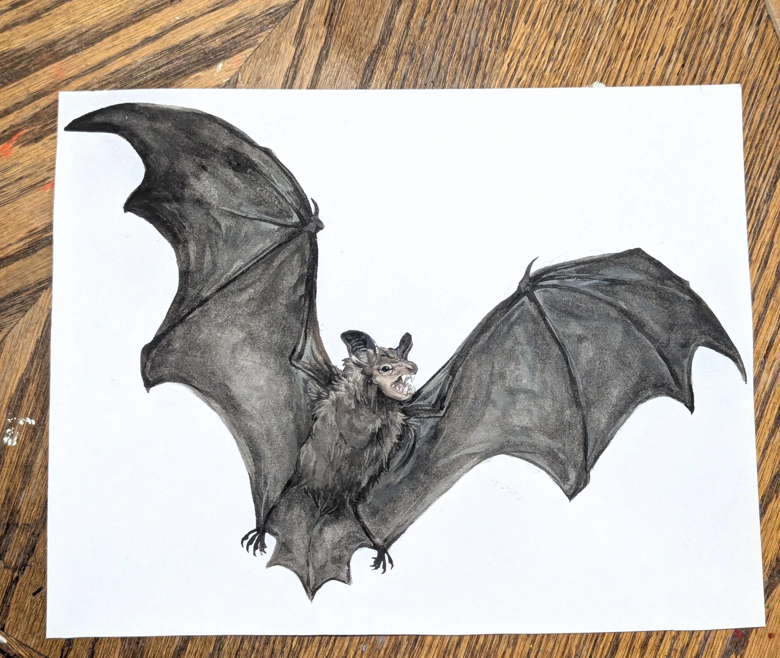 BROWN BAT