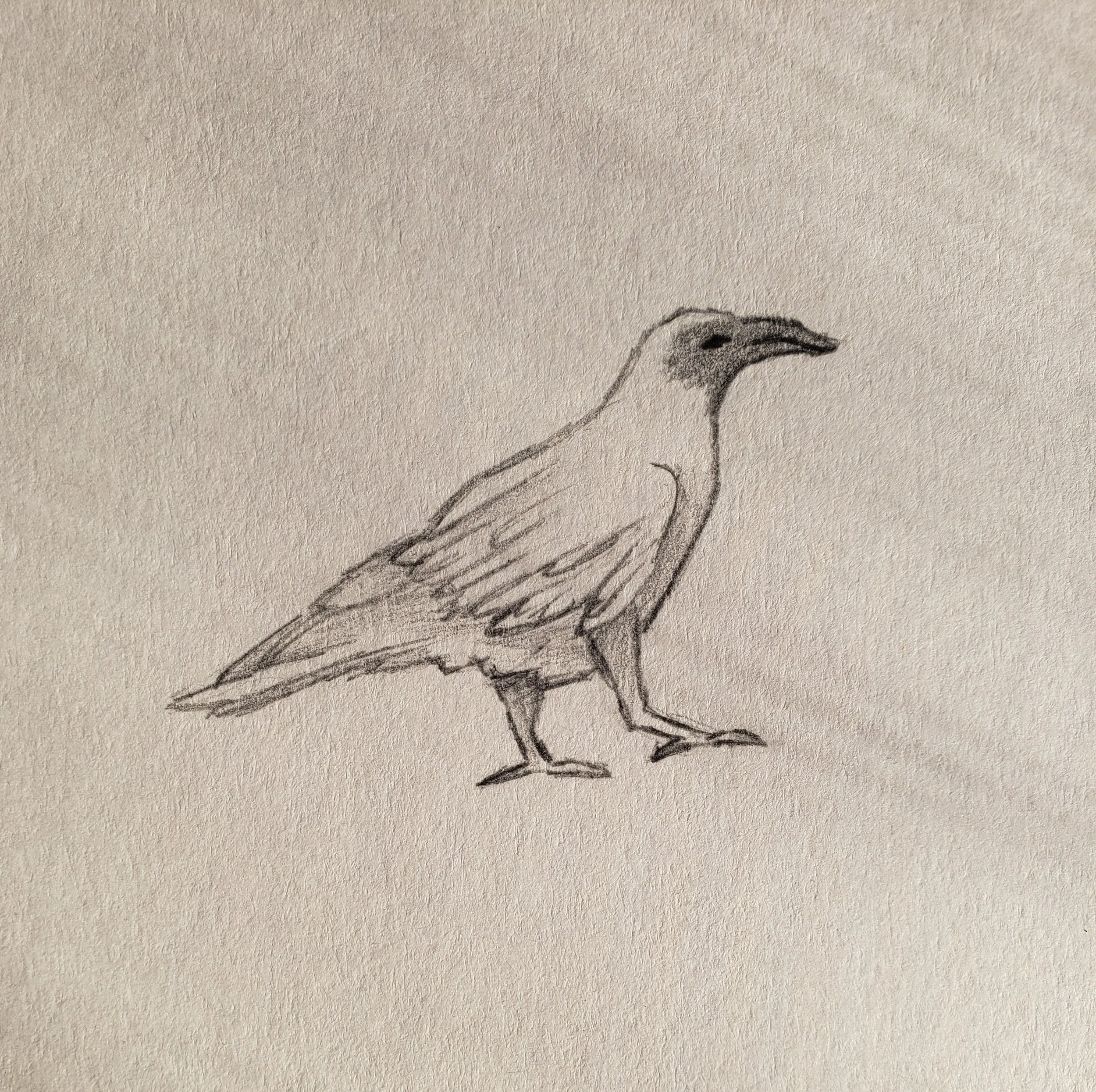 Elizabeth Hellrung(Sketch)