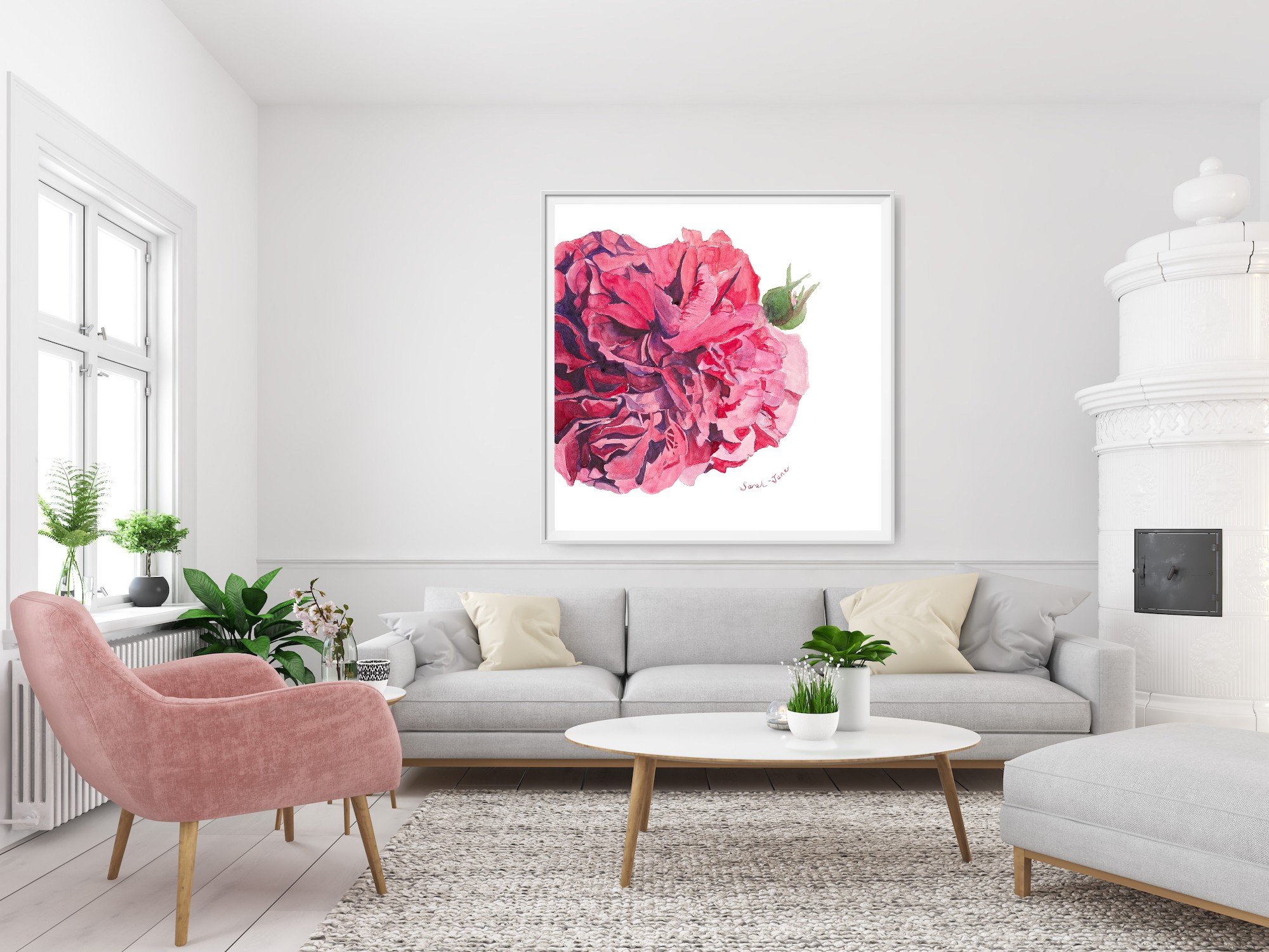 cabbage rose.jpg