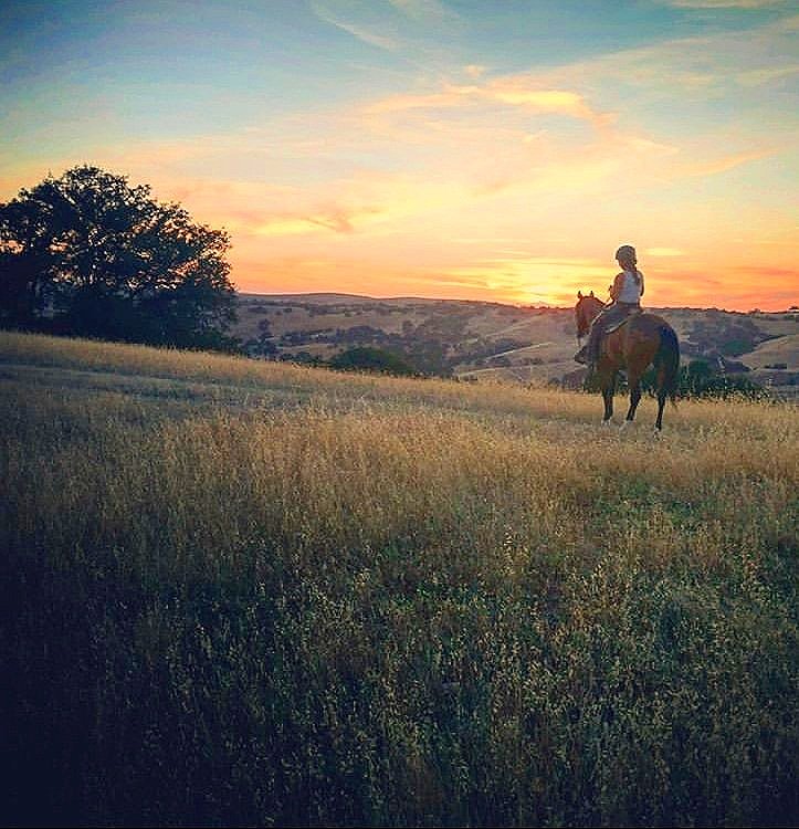 California (1).jpg