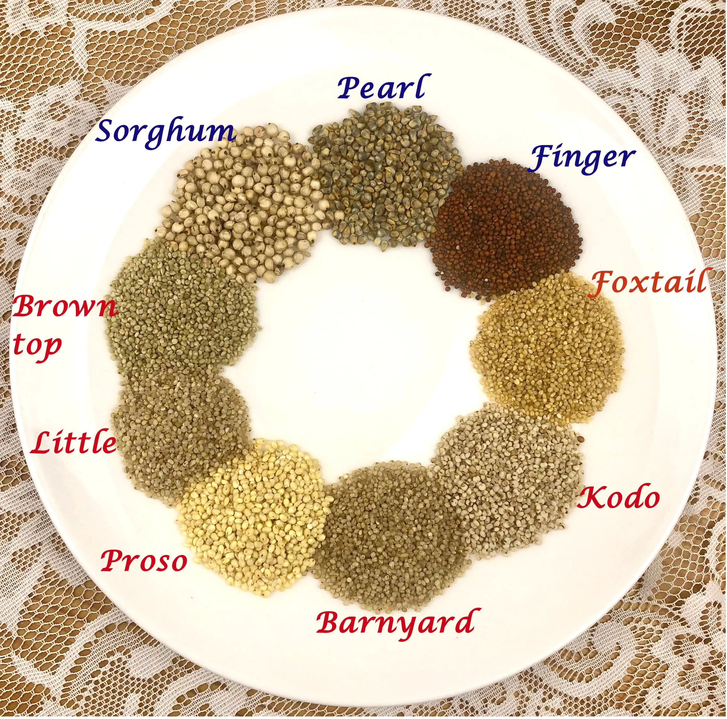 Beyond the Buzz—What Exactly are Millets?