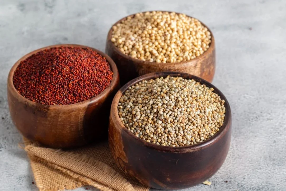 The major millets include sorghum (jowar), pearl millet (bajra) and finger millet (ragi)