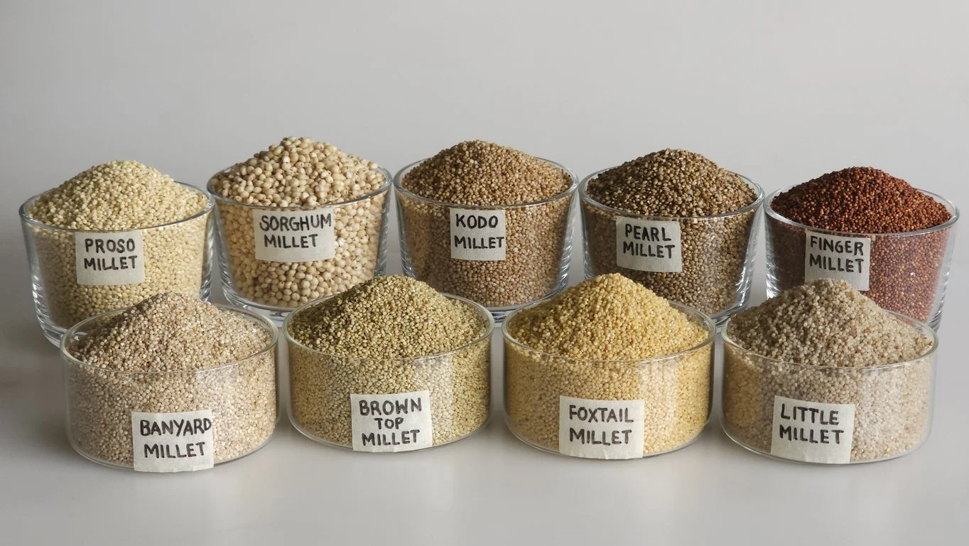 The nine types of millets, also known as nutri-cereals