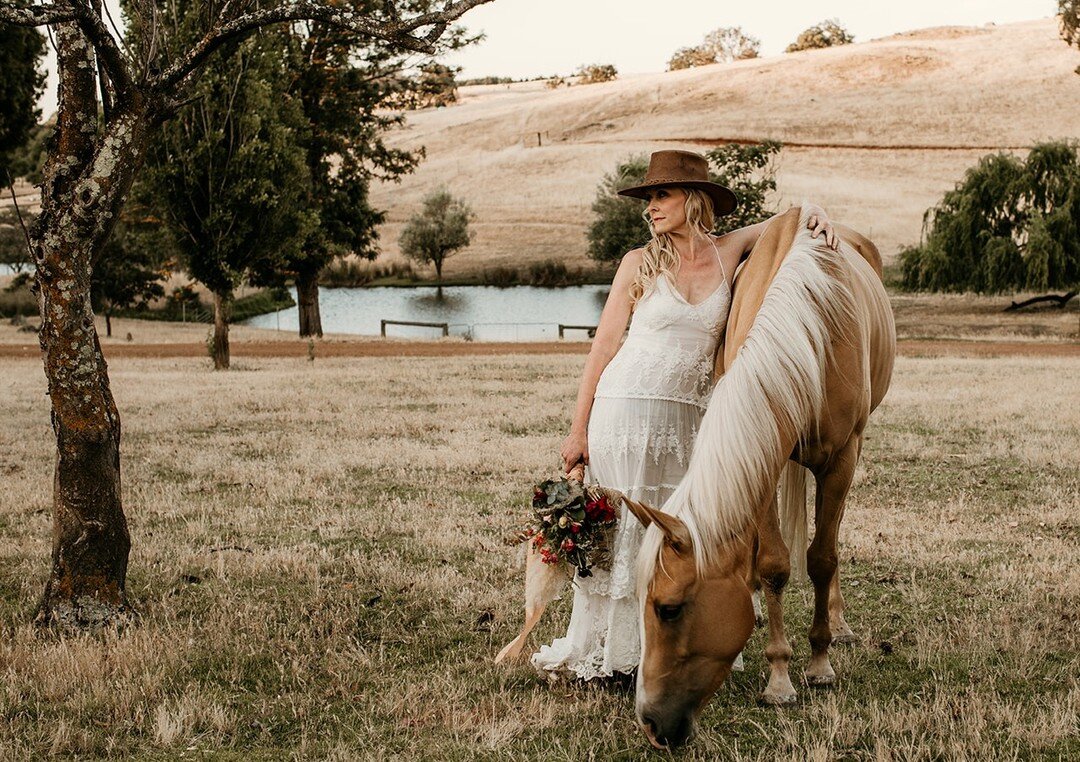 Yes, Dalmore is really a working farm and yes, couples are absolutely welcome to include some of our 4-legged family members in their photos. 

This particular fellow is Max. He loves people, apples and trying to eat bridal bouquets (not in that orde